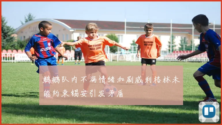 鹈鹕队内不满情绪加剧威利格林未能约束锡安引发矛盾