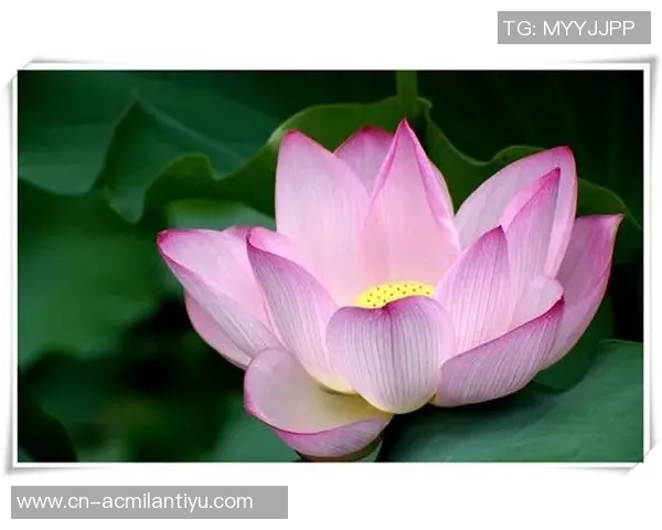 生活琐事与心灵感悟的碎碎念合集三十篇分享 生活琐事与心灵感悟的碎碎念合集三十篇分享